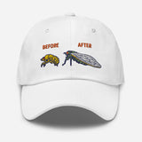 Cicada Before & After Dad Hat