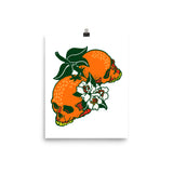 Sunshine Skulls Poster
